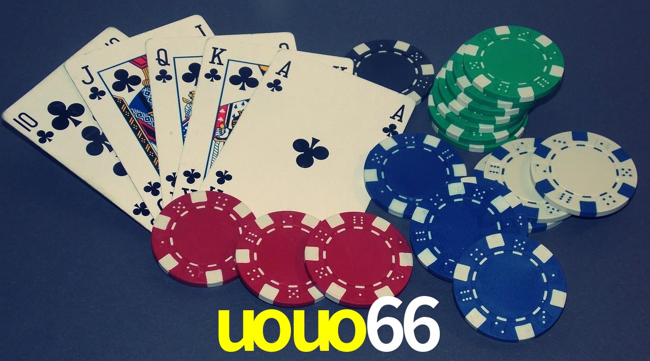 Experiência VIP uouo66