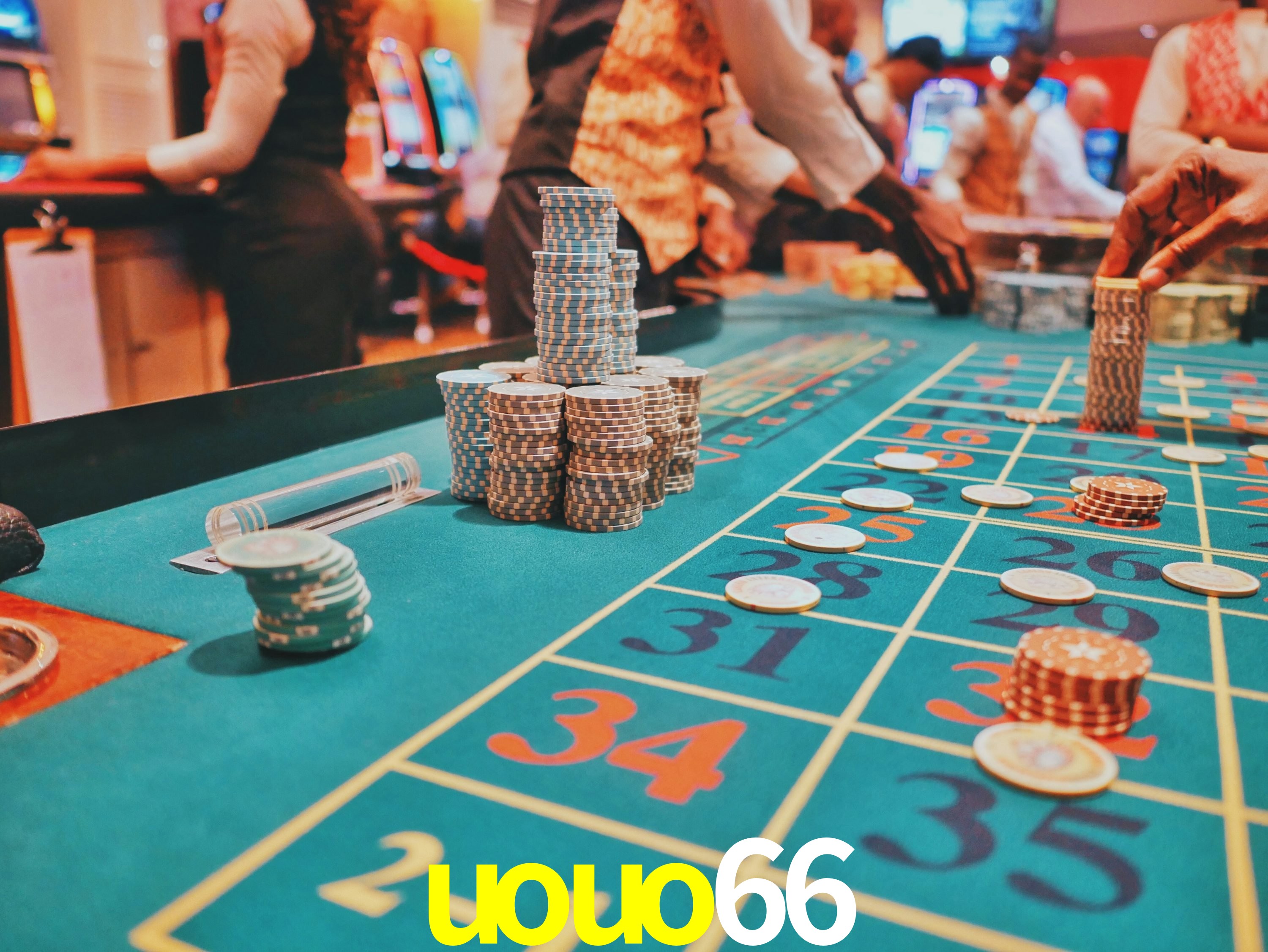 Tennis Betting uouo66